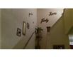 4409 Carter Creek #7, Bryan, TX 77802