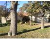 1101  Hawk Tree Drive 