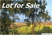 8153  Carrington Dr 