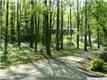 1765  Murray Hill Rd , Homewood, AL
