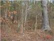  Oak Tree Dr #C2b, Chelsea, AL 35043