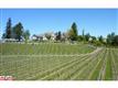 141  Gladwin Road , Abbotsford, BC
