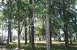 569  Lockwood Ct SE, Bolivia, NC