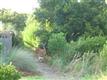 1049 Tide Ridge Dr, Holden Beach, NC 28462