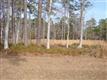 1616  Settlers Way , Ocean Isle Beach, NC