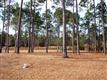 497  Emerald Valley Dr , Shallotte, NC