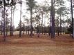 1964  Arnold Palmer Dr , Shallotte, NC