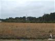 701  Frontage Rd , Loris, SC
