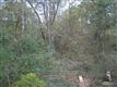1051 Ferry Landing, Supply, NC 28462