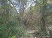 1051 Ferry Landing, Supply, NC 28462