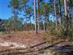 170  Lakeview Rd , Southport, NC
