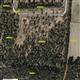 0  Chestnut Oak Dr , Ash, NC