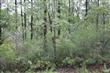 73 Black Hawk Rd, Boiling Spring Lakes, NC 28461