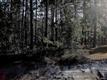 361 Harper Lake Dr, Southport, NC 28461