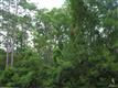 6072  Dutchman Creek Rd , Southport, NC