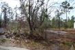 0  L-7 Greensboro Rd , Boiling Spring Lakes, NC