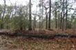0 L-9 Greensboro Rd, Boiling Spring Lakes, NC 28461