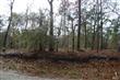 0 L-9 Greensboro Rd, Boiling Spring Lakes, NC 28461