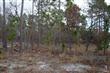 0 Fillmore Rd, Boiling Spring Lakes, NC 28461