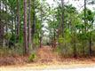 774  South Shore Dr , Boiling Spring Lakes, NC