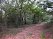0 W Leonard & Burrington St , Southport, NC