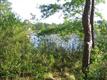 1393  South Shore Dr , Boiling Spring Lakes, NC
