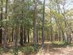 3375 SW Oyster Bed Cove, Supply, NC 28462