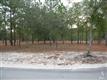 3617  Natchez St SW, Supply, NC