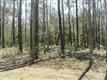 807  Weston Ln SE, Bolivia, NC