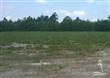 9500 NE Fallin Pear Ln , Leland, NC