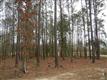 714  Sonata Dr SE, Bolivia, NC