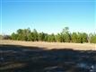0 NE Northside Dr, Shallotte, NC 28470