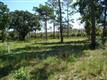 5383  Dosher Cutoff Rd , Southport, NC