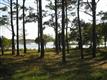 0  Barnes Bluff Dr , Oak Island, NC