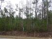 0  Malmo Loop Rd NE, Leland, NC