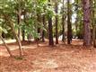 2001 W Yacht Dr , Oak Island, NC