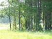 168  Barwick Dr , Calabash, NC
