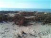 3317 W Beach Dr , Oak Island, NC