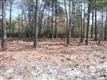 479  Arlington Dr , Bolivia, NC