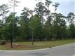 2088  Arnold Palmer Dr , Shallotte, NC