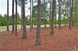 4488  Regency Crossing , Southport, NC