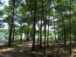 3451 Bassett St SW, Shallotte, NC 28470