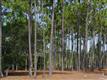 2703  Scarborough Way , Southport, NC