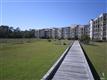 Oak Island