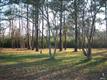 4319  Old Ocean Hwy , Bolivia, NC
