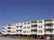 Oak Island