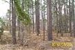 0  Westwood Rd , Boiling Spring Lakes, NC