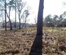 346  Argonne Rd , Boiling Spring Lakes, NC