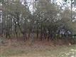 1109  Grant Cir , Boiling Spring Lakes, NC