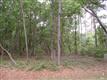 9153  Forest Dr SW, Sunset Beach, NC